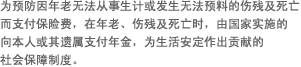 为预防因年老无法从事生计或发生无法预料的伤残及死亡而支付保险费，在年老、伤残及死亡时，由国家实施的向本人或其遗属支付年金，为生活安定作出贡献的社会保障制度。